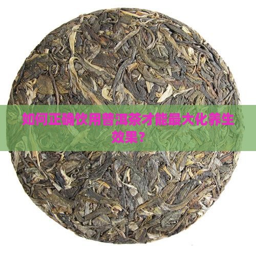 如何正确饮用普洱茶才能最大化养生效果？