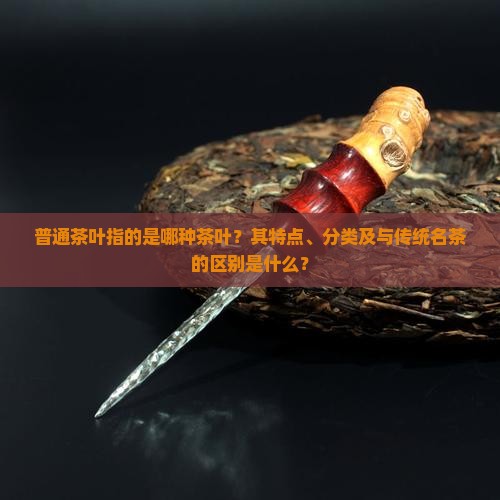 普通茶叶指的是哪种茶叶？其特点、分类及与传统名茶的区别是什么？