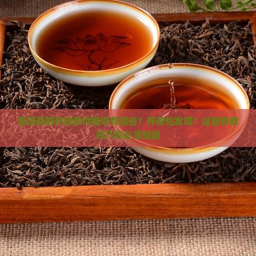 普洱茶的存放条件要求有哪些？存茶怕发霉？这些存放技巧你必须知道