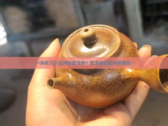 一共有几个品种的普洱茶？普洱茶的品种有哪些？