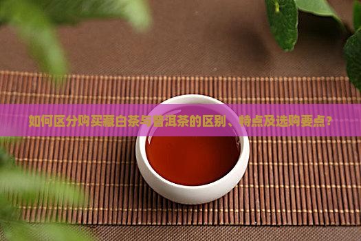 如何区分购买藏白茶与普洱茶的区别、特点及选购要点？