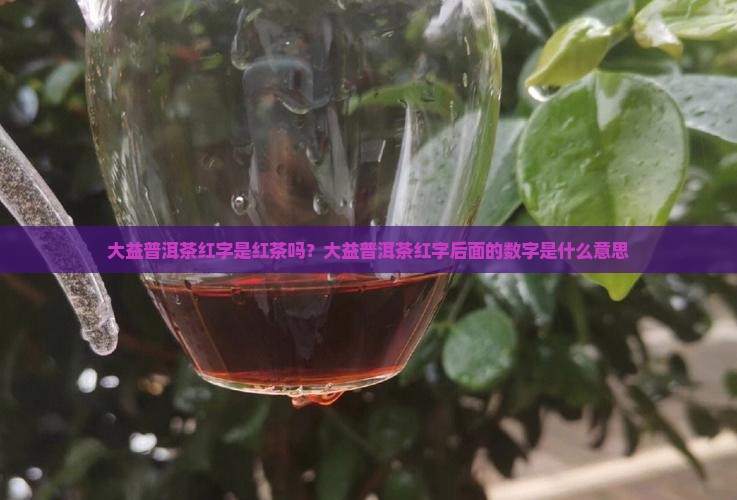 大益普洱茶红字是红茶吗？大益普洱茶红字后面的数字是什么意思