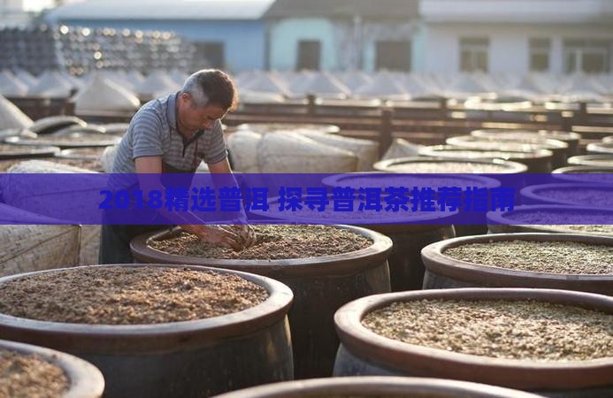 2018精选普洱 探寻普洱茶推荐指南
