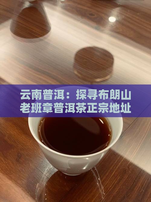 云南普洱：探寻布朗山老班章普洱茶正宗地址