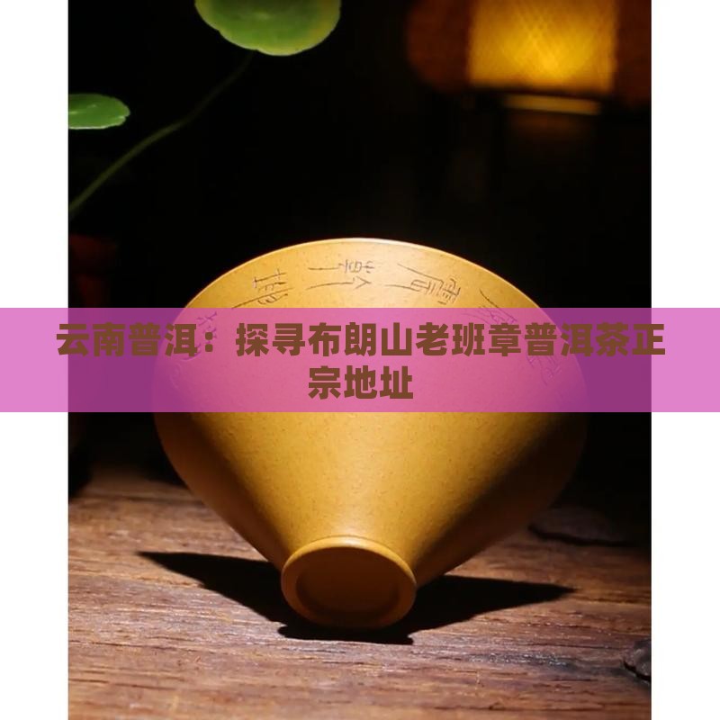 云南普洱：探寻布朗山老班章普洱茶正宗地址