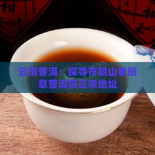 云南普洱：探寻布朗山老班章普洱茶正宗地址