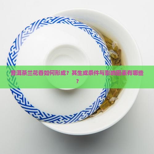 普洱茶兰花香如何形成？其生成条件与影响因素有哪些？