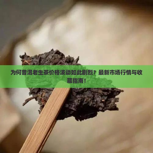 为何普洱老生茶价格波动如此剧烈？最新市场行情与收藏指南！
