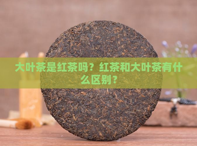 大叶茶是红茶吗？红茶和大叶茶有什么区别？