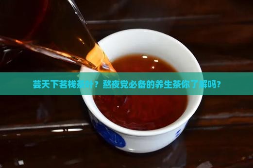 芸天下茗栈茶叶？熬夜党必备的养生茶你了解吗？