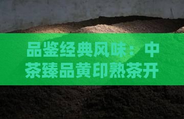 品鉴经典风味：中茶臻品黄印熟茶开汤体验