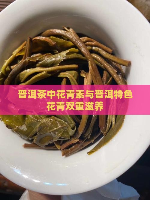 普洱茶中花青素与普洱特色花青双重滋养