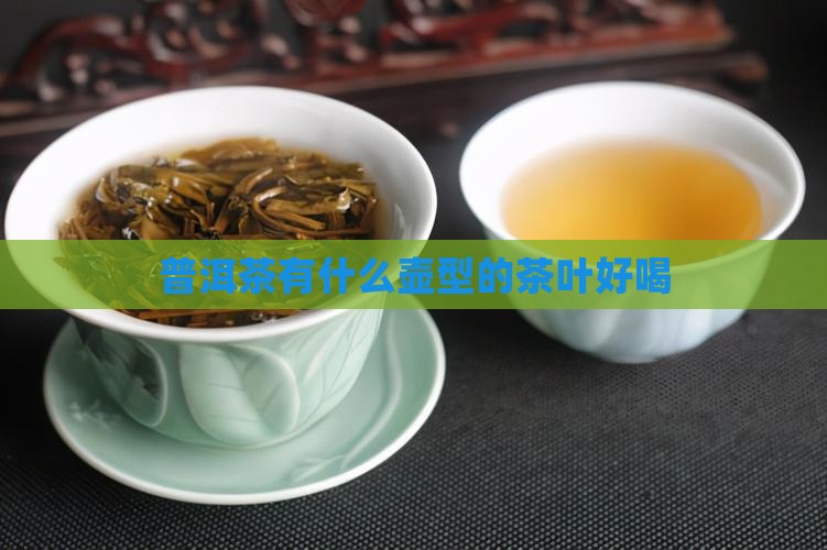 普洱茶有什么壶型的茶叶好喝