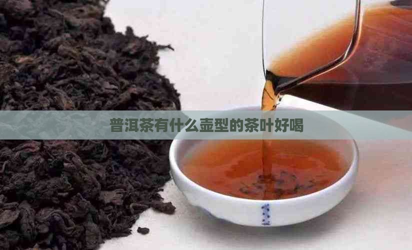 普洱茶有什么壶型的茶叶好喝