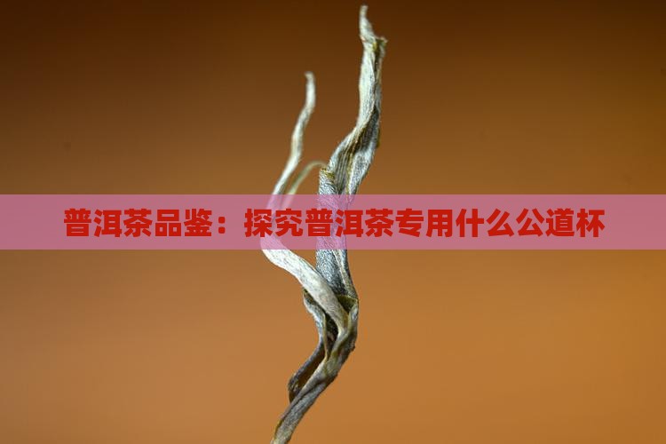 普洱茶品鉴：探究普洱茶专用什么公道杯