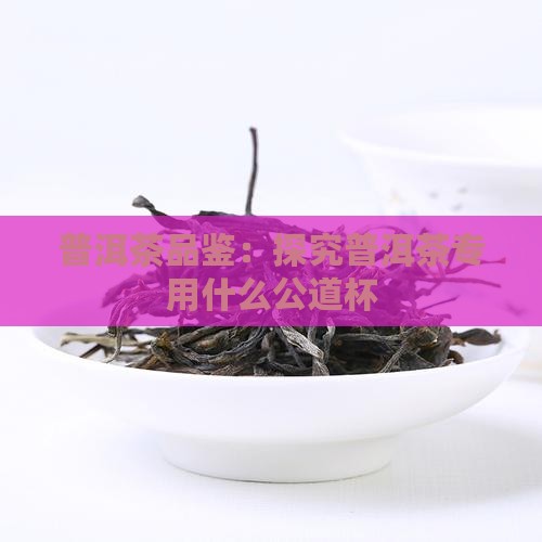 普洱茶品鉴：探究普洱茶专用什么公道杯