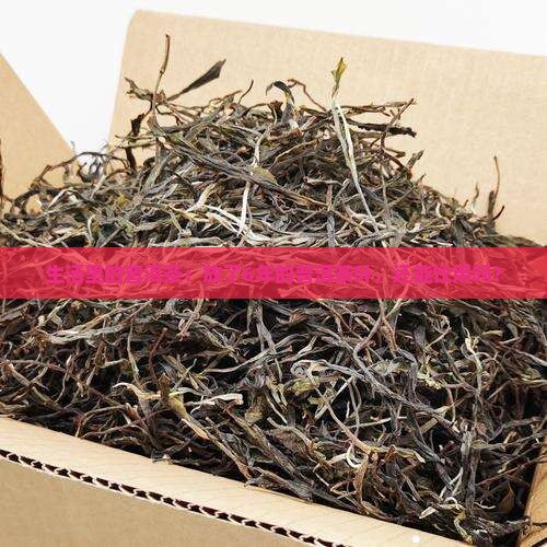 生活里的普洱茶：放了6年的普洱茶叶，还能饮用吗？