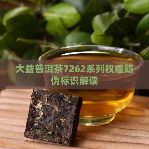 大益普洱茶7262系列权威防伪标识解读