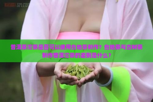 普洱茶沱茶是否可以使用台地茶制作？台地茶与古树茶制作普洱沱茶的差别是什么？