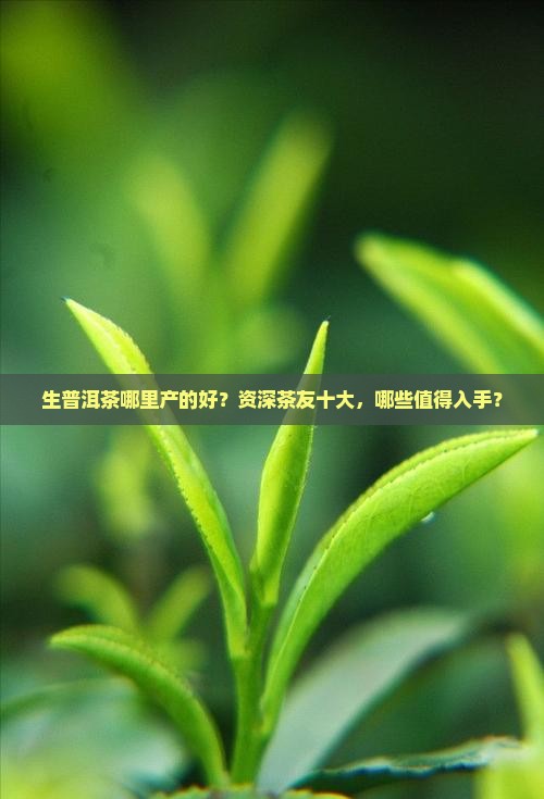生普洱茶哪里产的好？资深茶友十大，哪些值得入手？