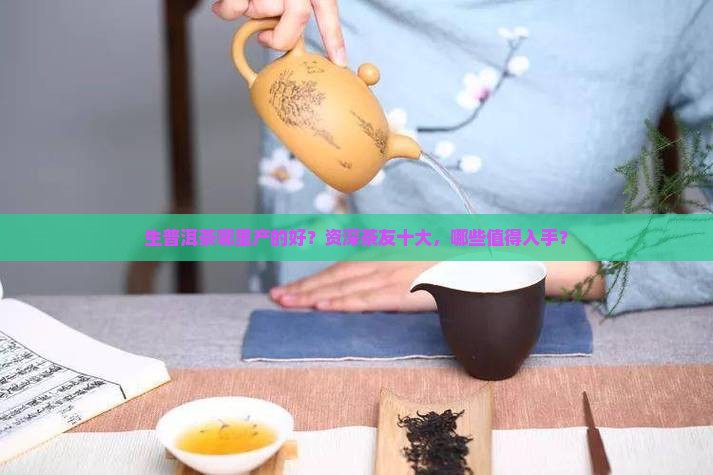 生普洱茶哪里产的好？资深茶友十大，哪些值得入手？