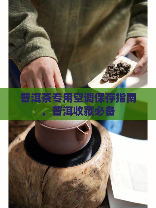 普洱茶专用空调保存指南，普洱收藏必备