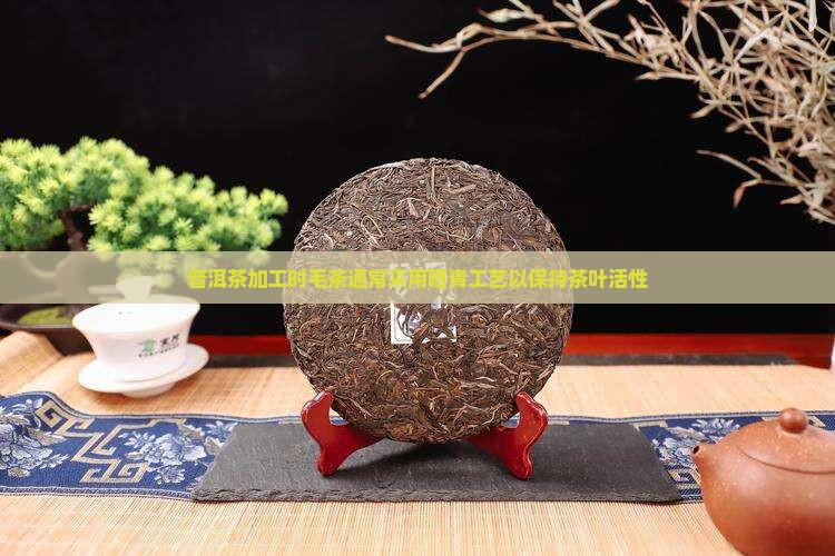 普洱茶加工时毛茶通常采用晒青工艺以保持茶叶活性