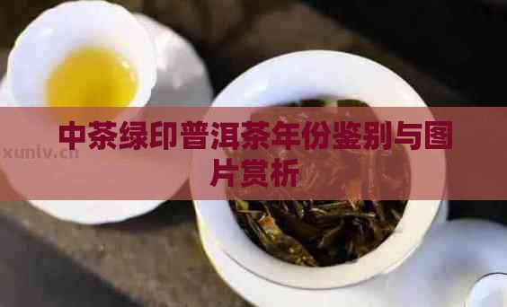 中茶绿印普洱茶年份鉴别与图片赏析