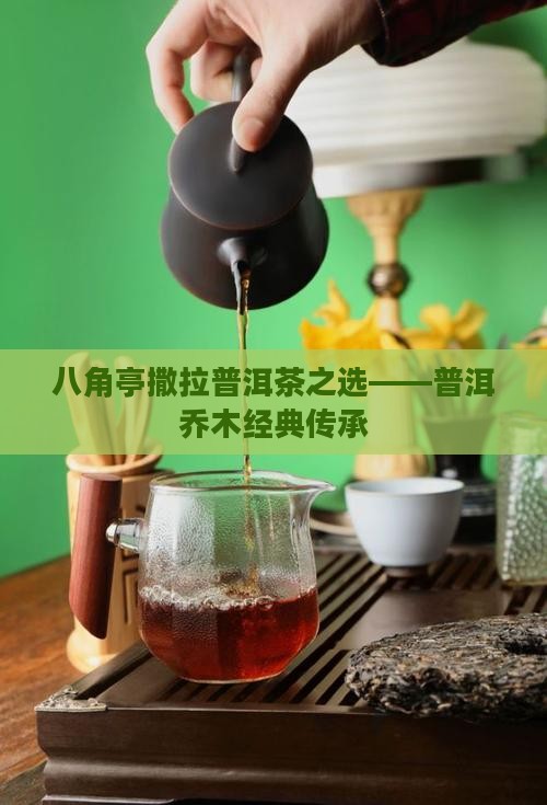 八角亭撒拉普洱茶之选——普洱乔木经典传承