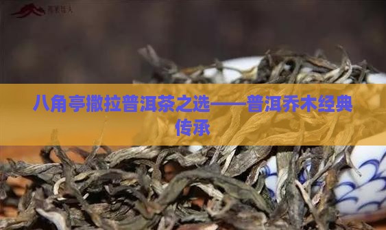 八角亭撒拉普洱茶之选——普洱乔木经典传承