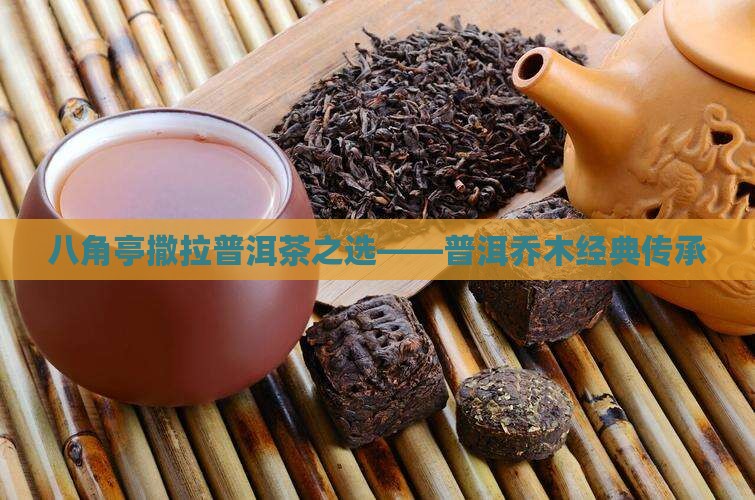 八角亭撒拉普洱茶之选——普洱乔木经典传承