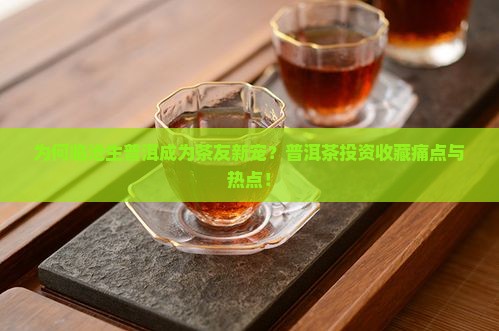 为何临沧生普洱成为茶友新宠？普洱茶投资收藏痛点与热点！