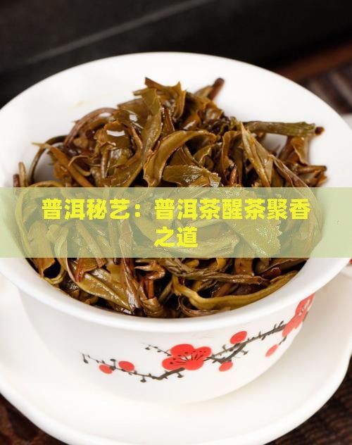 普洱秘艺：普洱茶醒茶聚香之道