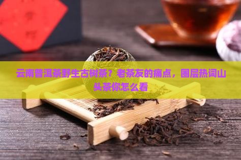 云南普洱茶野生古树茶？老茶友的痛点，圈层热词山头茶你怎么看
