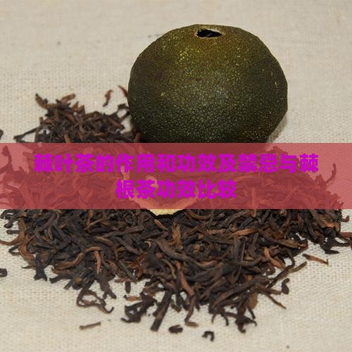 棘叶茶的作用和功效及禁忌与棘根茶功效比较
