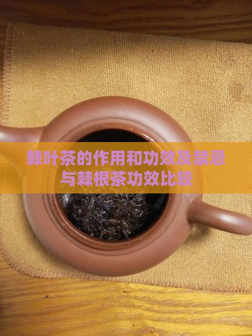 棘叶茶的作用和功效及禁忌与棘根茶功效比较