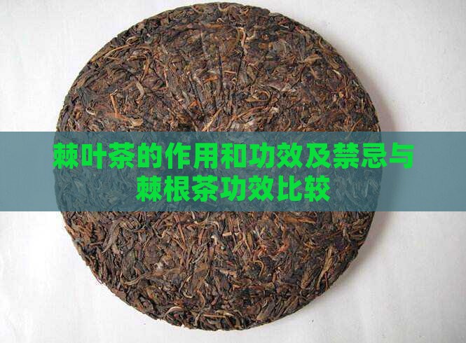 棘叶茶的作用和功效及禁忌与棘根茶功效比较