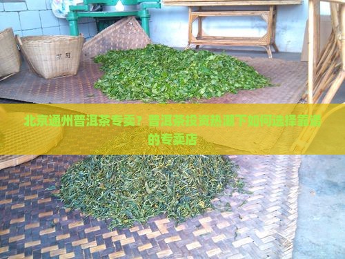 北京通州普洱茶专卖？普洱茶投资热潮下如何选择靠谱的专卖店