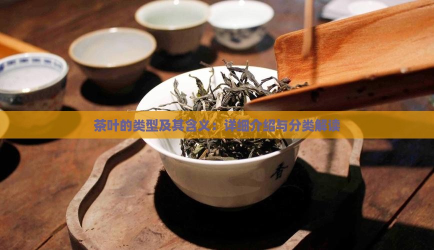 茶叶的类型及其含义：详细介绍与分类解读