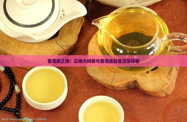 普洱茶之源：云南大树茶与普洱地区普洱茶探秘