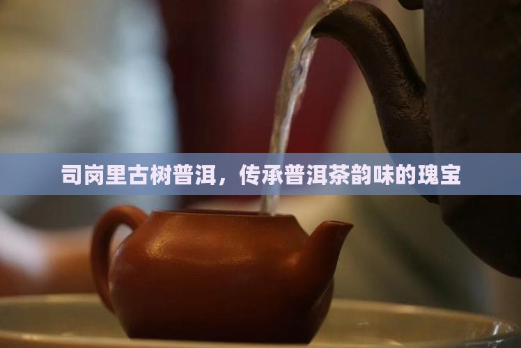 司岗里古树普洱，传承普洱茶韵味的瑰宝
