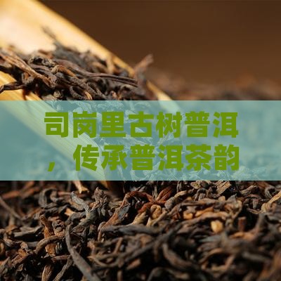司岗里古树普洱，传承普洱茶韵味的瑰宝