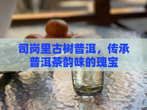 司岗里古树普洱，传承普洱茶韵味的瑰宝