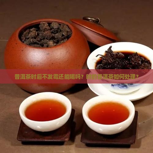 普洱茶时后不发霉还能喝吗？时的普洱茶如何处理？