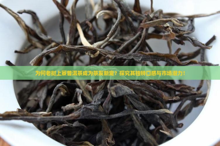 为何老挝上寮普洱茶成为茶友新宠？探究其独特口感与市场潜力！