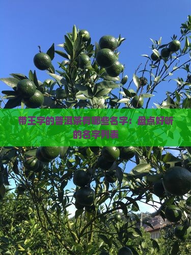 带王字的普洱茶有哪些名字：盘点好听的名字列表
