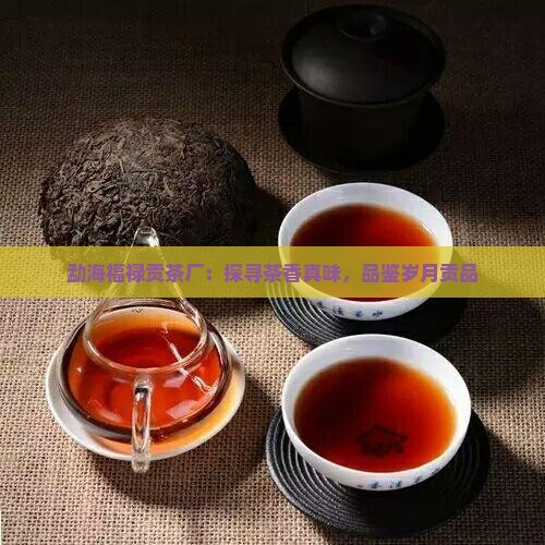 勐海福禄贡茶厂：探寻茶香真味，品鉴岁月贡品