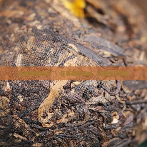 勐海福禄贡茶厂：探寻茶香真味，品鉴岁月贡品