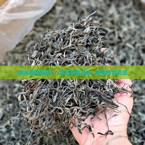 勐海福禄贡茶厂：探寻茶香真味，品鉴岁月贡品