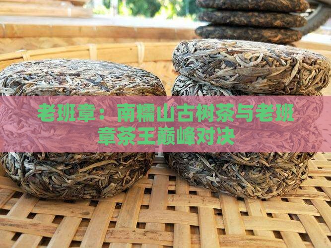 老班章：南糯山古树茶与老班章茶王巅峰对决